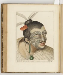 Illustration from 